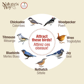 Nature’s Way Cedar Woodpecker Suet Feeder vinyl-coated cable provides secure support