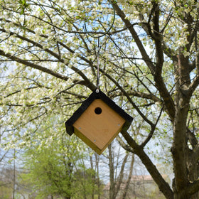 Nature's Way Cedar Wren House air vents support healthy airflow inside.
