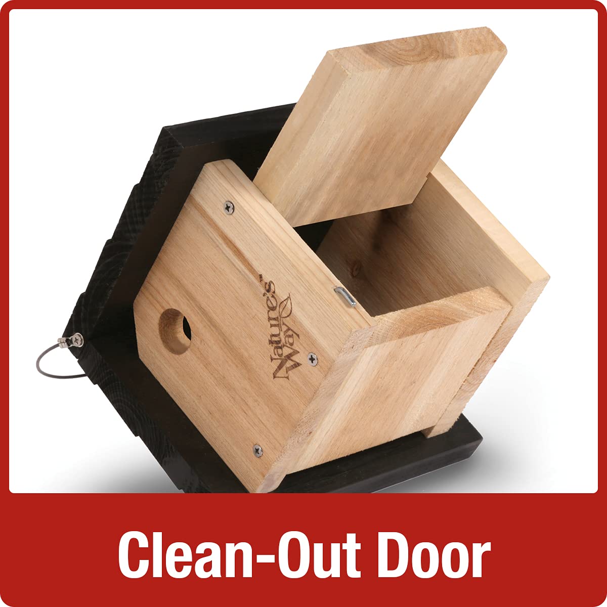 Nature's Way Cedar Wren House rust-free stainless hardware for lasting outdoor use.
