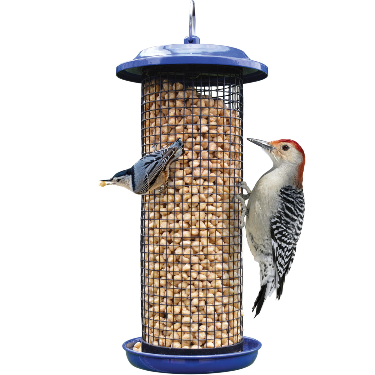Nature's Way cobalt metal mesh bird feeder with 2-quart capacity attracts wild birds