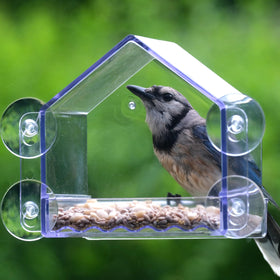 Nature's Way Window feeder provides a close-up view of backyard birds.