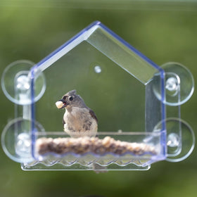 Nature's Way Rounded perch offers birds a comfortable resting spot.