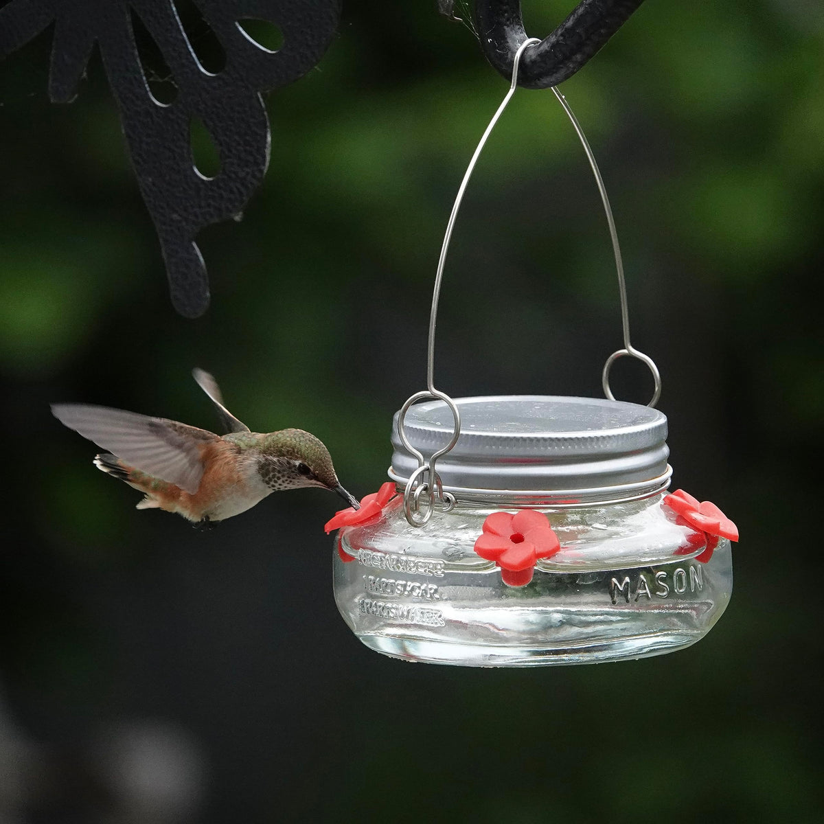 Nature's Way detachable parts enable thorough cleaning after outdoor use