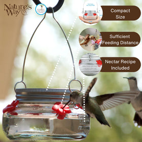 Nature's Way four-port hummingbird feeder supports multiple feeding spots for visitors