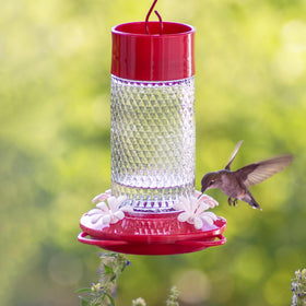 Close-up of Nature's Way glass nectar reservoir for easy inspection and filling
