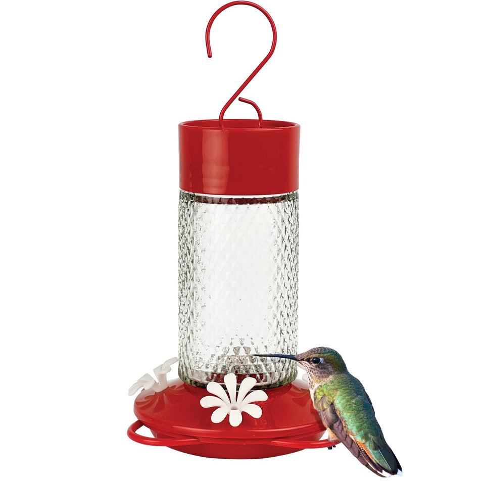 Nature's Way hanging glass hummingbird feeder, red, 13 oz, ideal for colorful backyard nectar