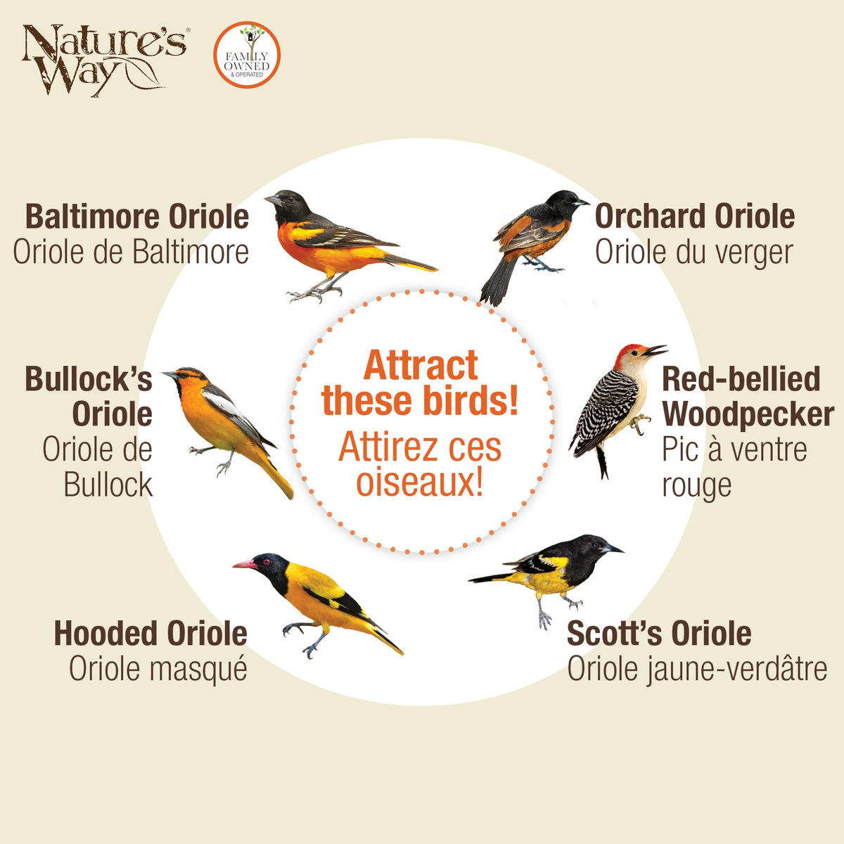 Nature's Way OFM1 anti-ant moat deters pests around the feeder.