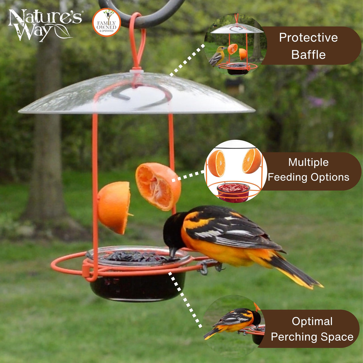Bee guard prevents bees from reaching nectar on the OFM1 feeder.