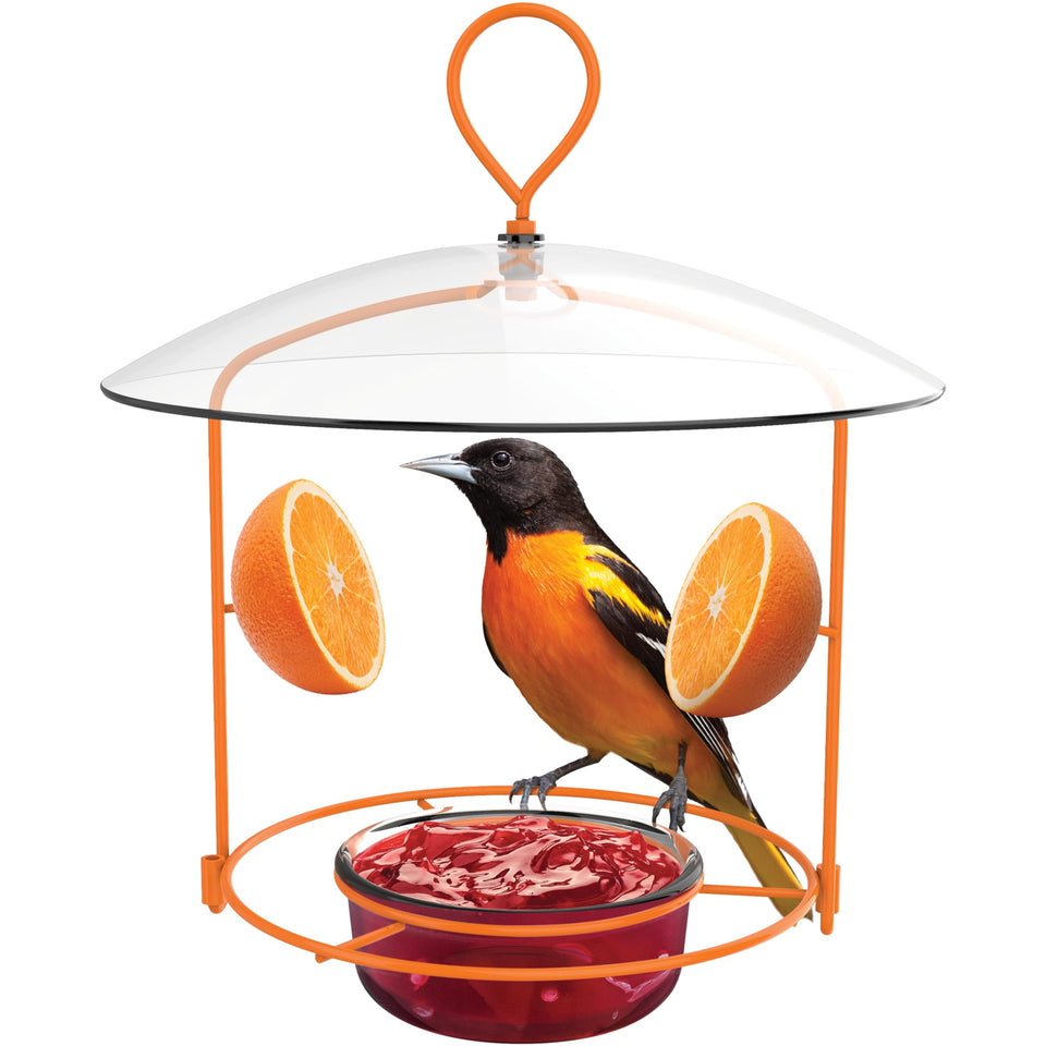 Nature's Way OFM1 wire oriole feeder close-up of nectar ports enabling controlled feeding.