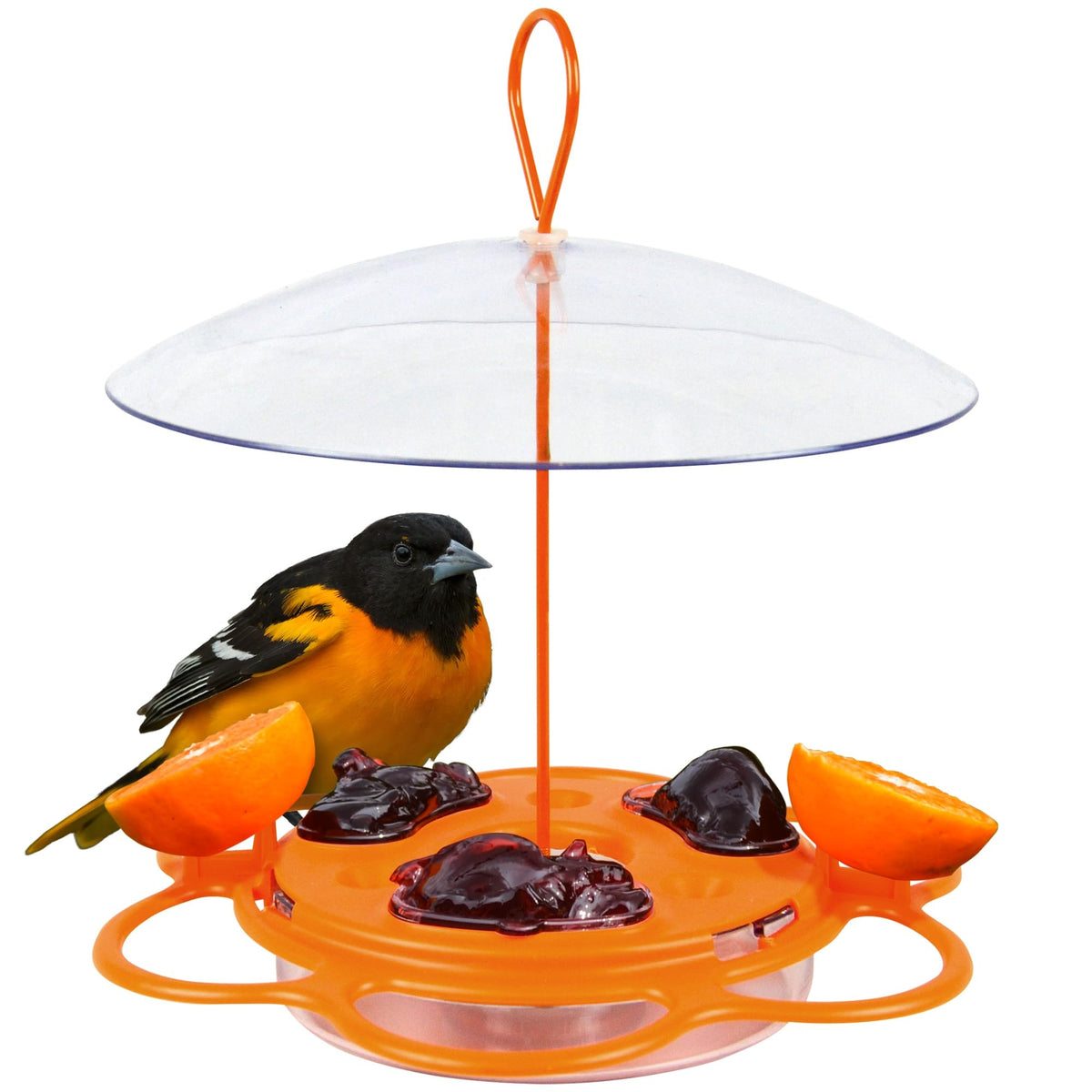 Nature's Way OFP1 orange feeder, front view for easy spotting and quick refills.