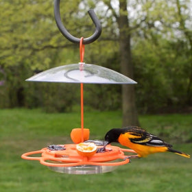 Nature's Way OFP1 orange feeder in hanging setup for porch or garden.