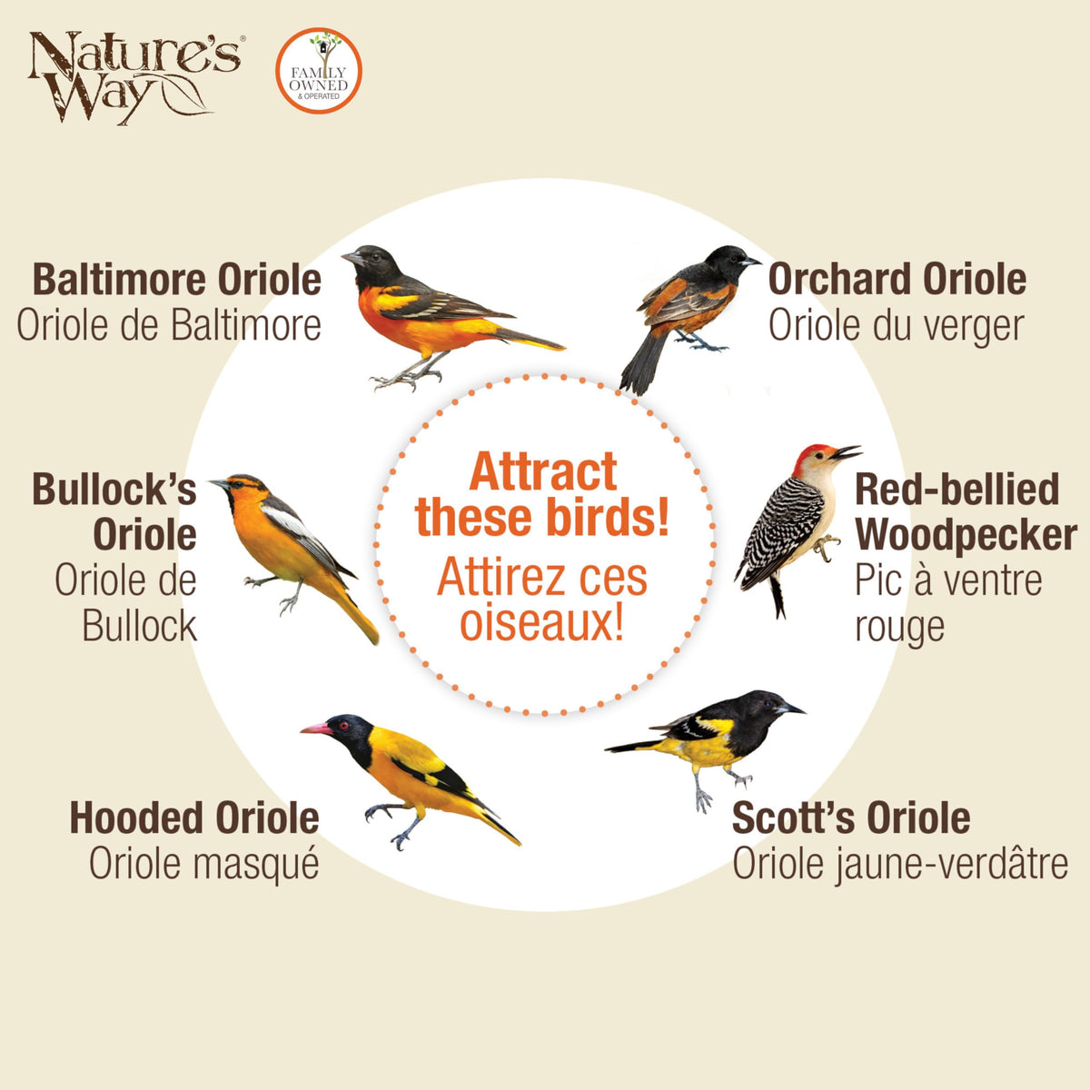 Nature’s Way Oriole Feeding Center ant moat helps deter insects