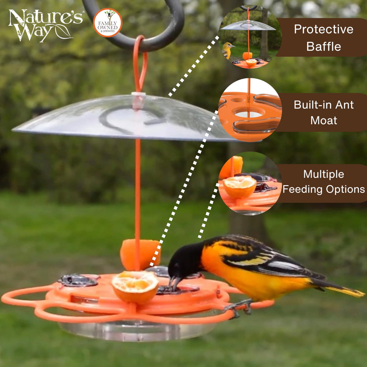 Nature’s Way Oriole Feeding Center jelly cups for easy cleaning