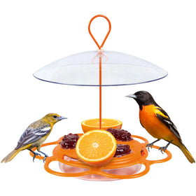 Nature’s Way Oriole Feeding Center overview with multi-station setup for several orioles