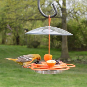 Nature’s Way Oriole Feeding Center installed in a backyard inviting orioles