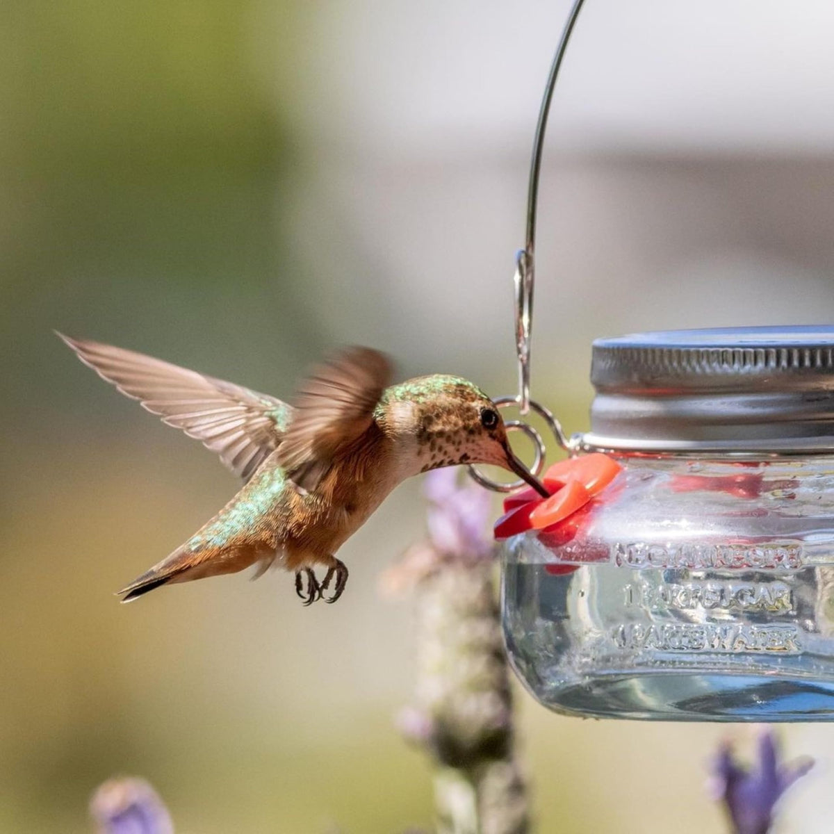 Nature's Way outdoor yard decor hummingbird feeder enhances garden charm