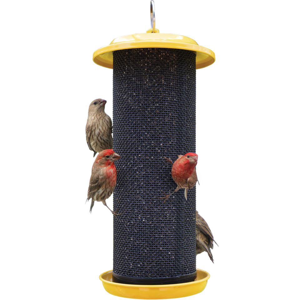 Nature's Way Sunglow metal mesh bird feeder in sunny yellow attracts finches