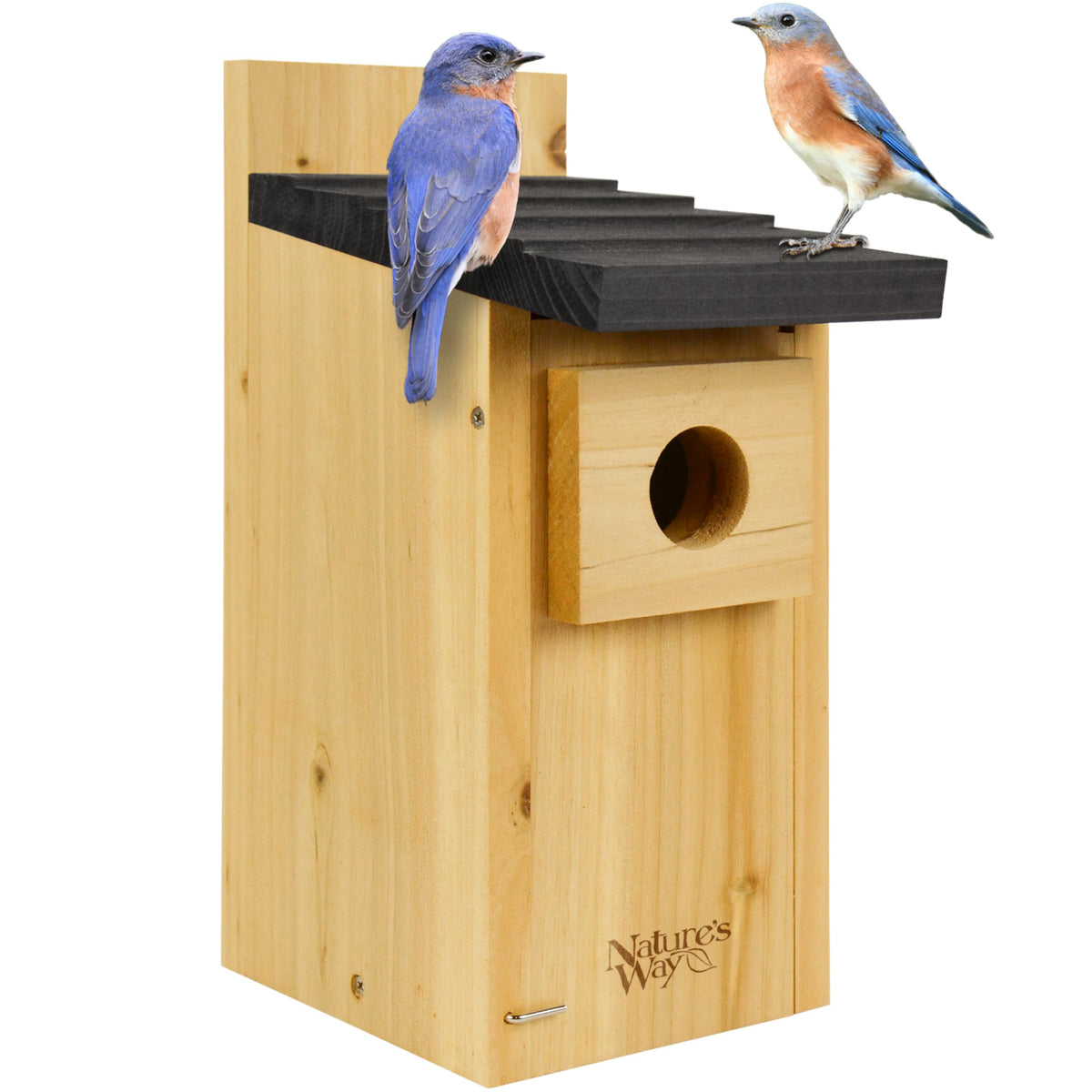 Nature's Way Wild Wings WWCH3 cedar blue bird box exterior for outdoor use.