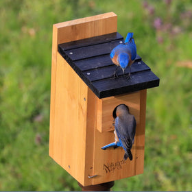 Nature's Way Wild Wings WWCH3 pole or flush mounting offers flexible setup.