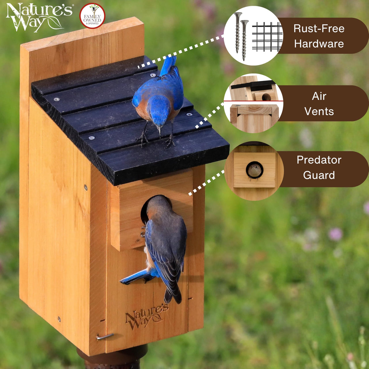Nature's Way Wild Wings WWCH3 wall and floor ventilation promotes healthy airflow.