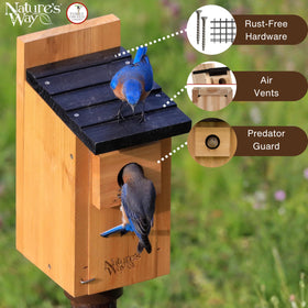 Nature's Way Wild Wings WWCH3 wall and floor ventilation promotes healthy airflow.