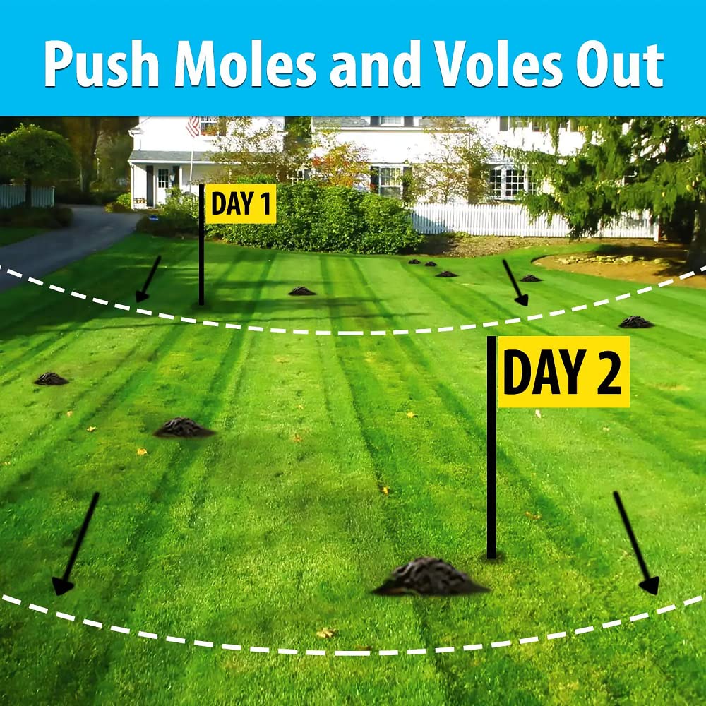 Nature's MACE All-season protection emphasizes year-round mole and vole prevention.