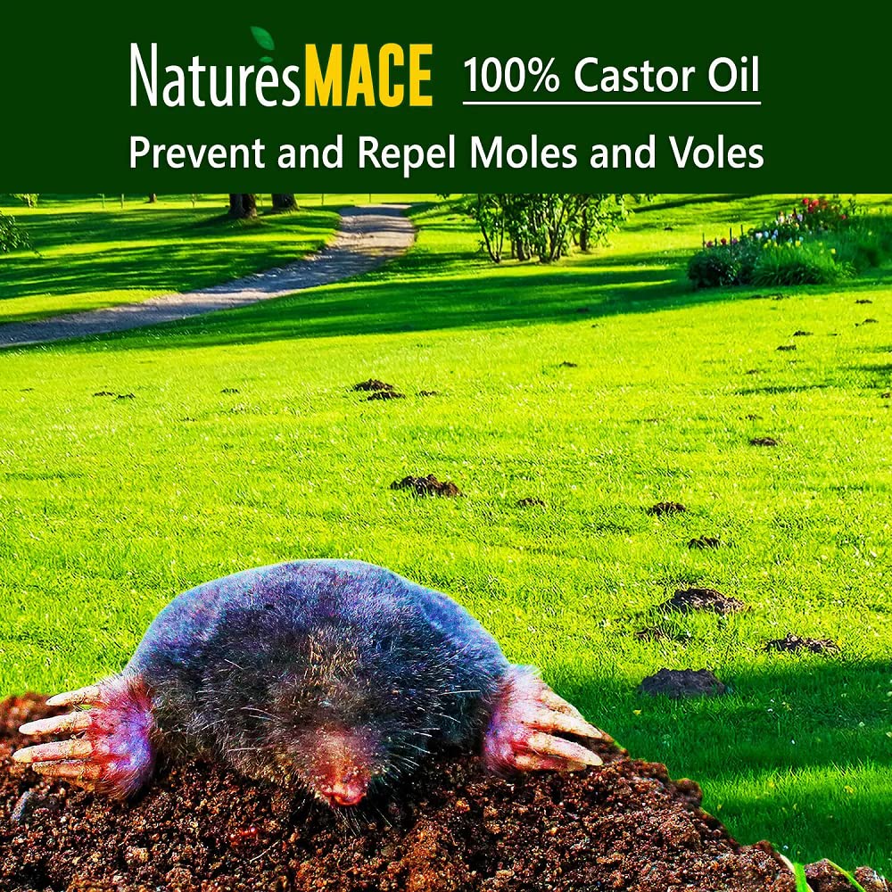 Nature's MACE Base of plants application demonstrates soil-friendly repellency.