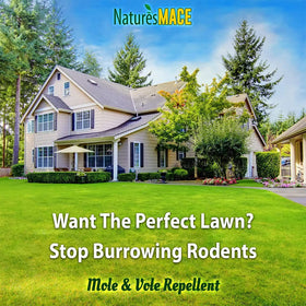 Nature's MACE Large-area coverage illustrates efficient yard protection.