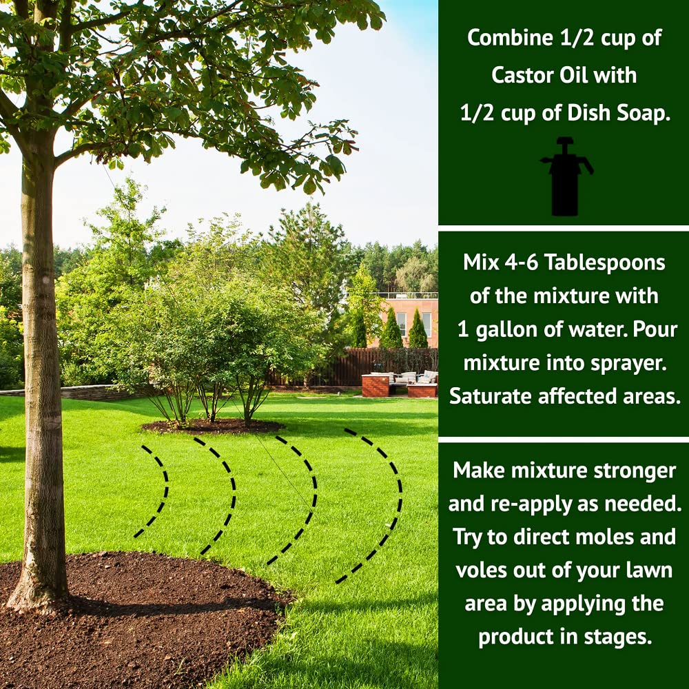 Nature's MACE Safe around plants and pets supports family-friendly gardening.