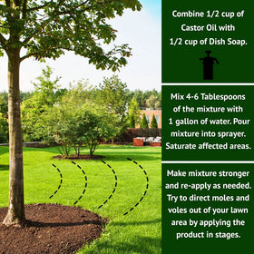 Nature's MACE Safe around plants and pets supports family-friendly gardening.
