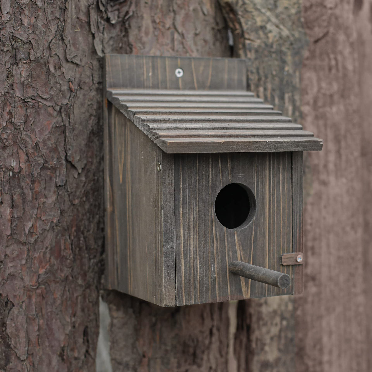 Natureylwl Bird House hanging setup demonstrates easy garden installation