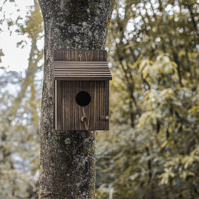 Natureylwl Bird House installation on pole demonstrates versatile placement