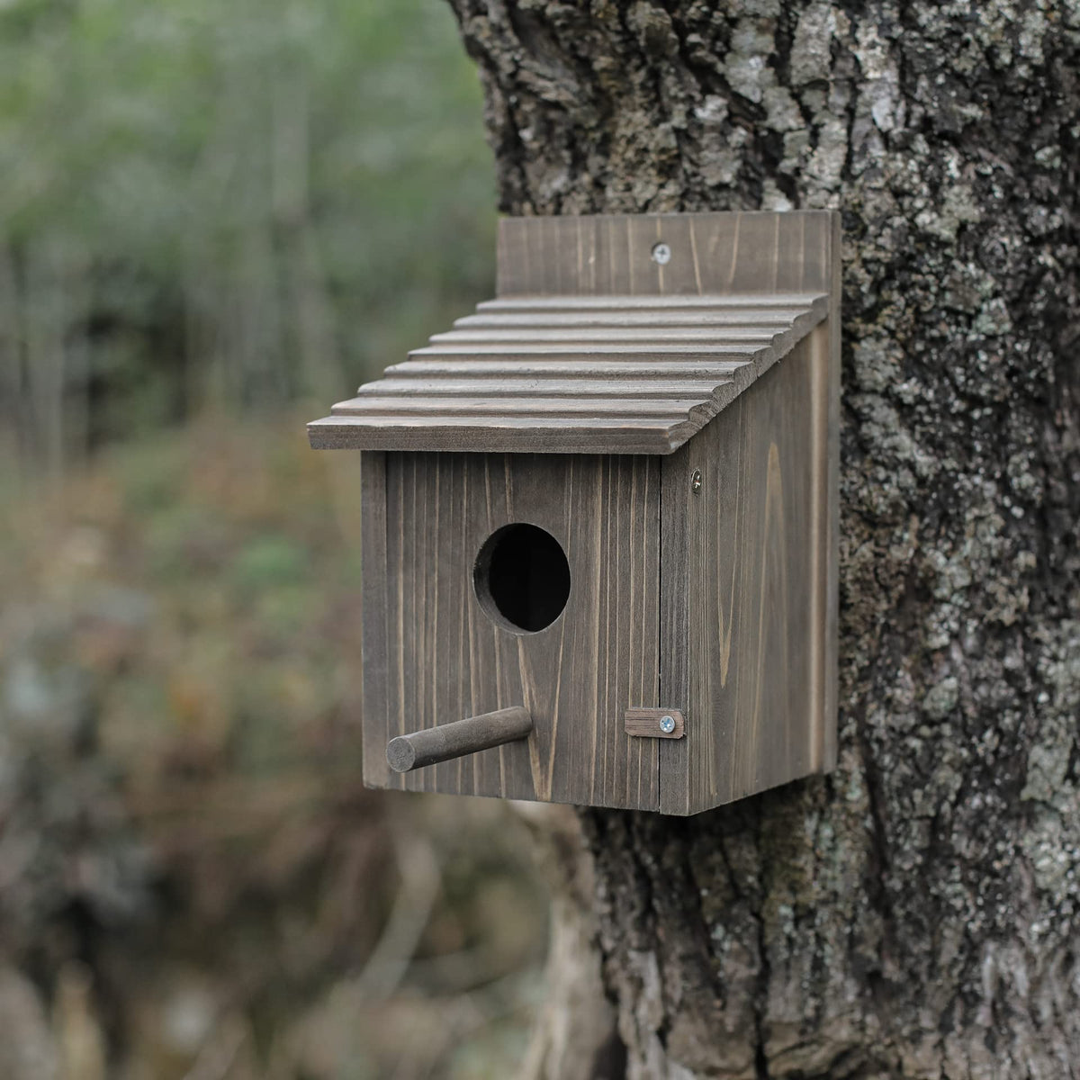 Natureylwl Bird House open interior view emphasizes easy cleaning access