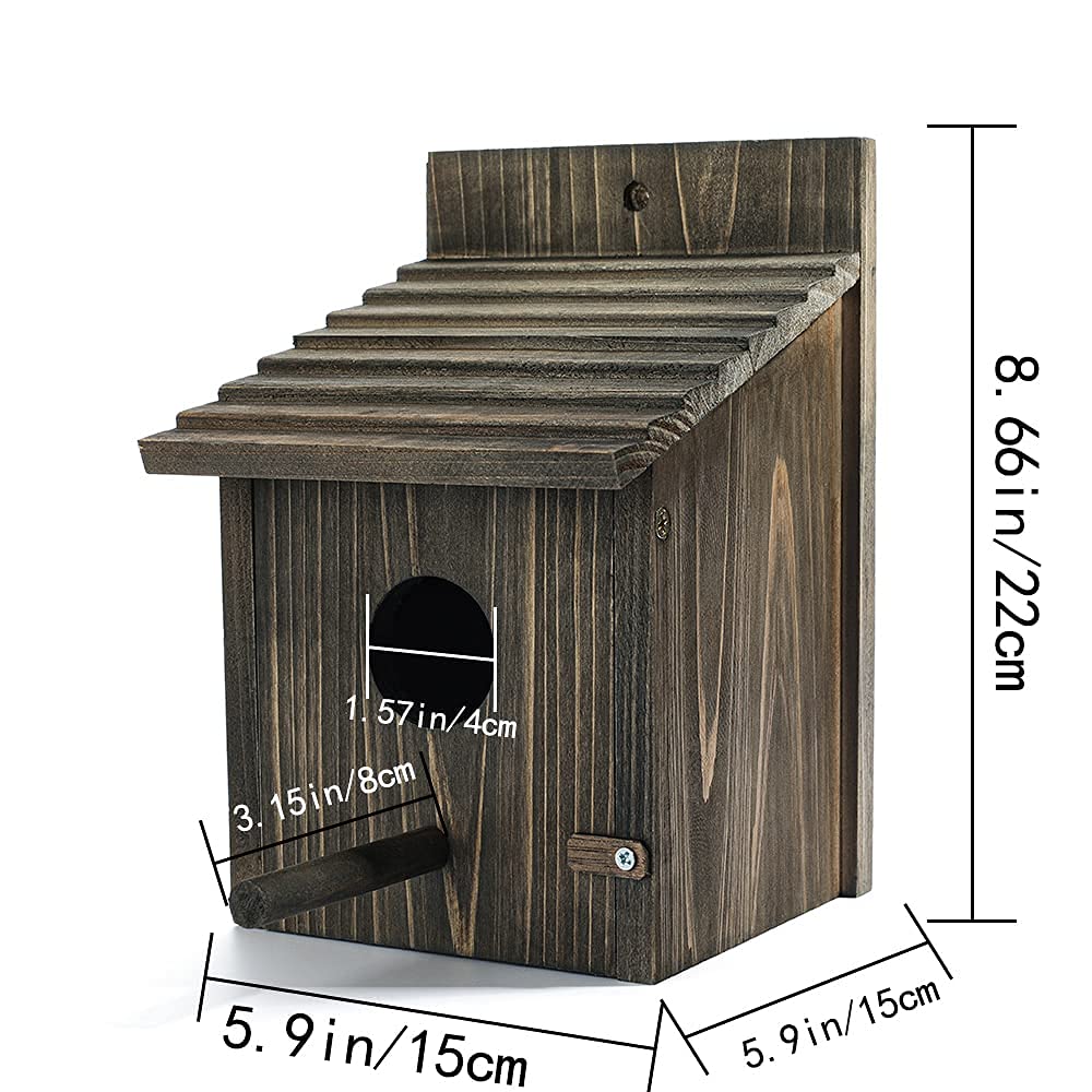 Natureylwl Bird House perch detail highlights feeding placement