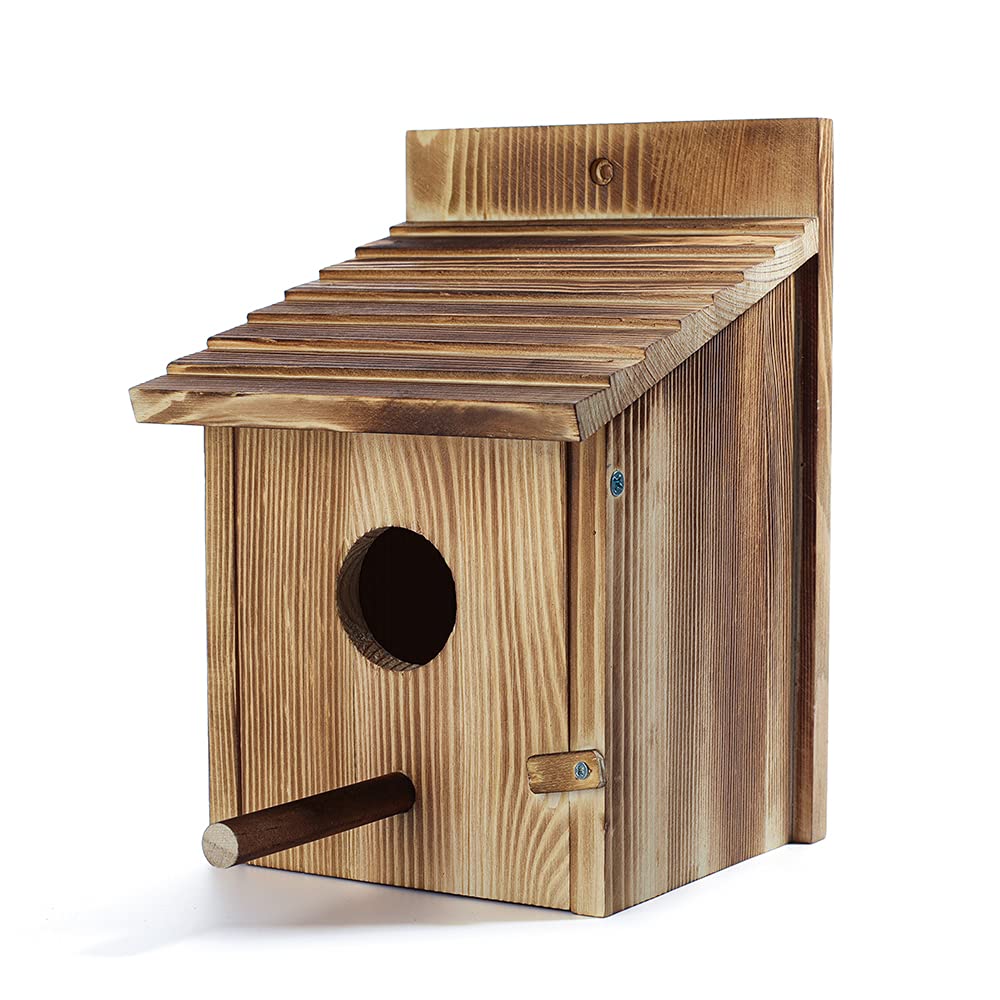 NATUREYLWL compact garden birdhouse suits small yards.