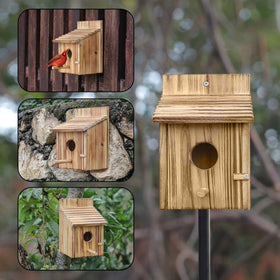 NATUREYLWL easy-clean door for quick nest refreshes.