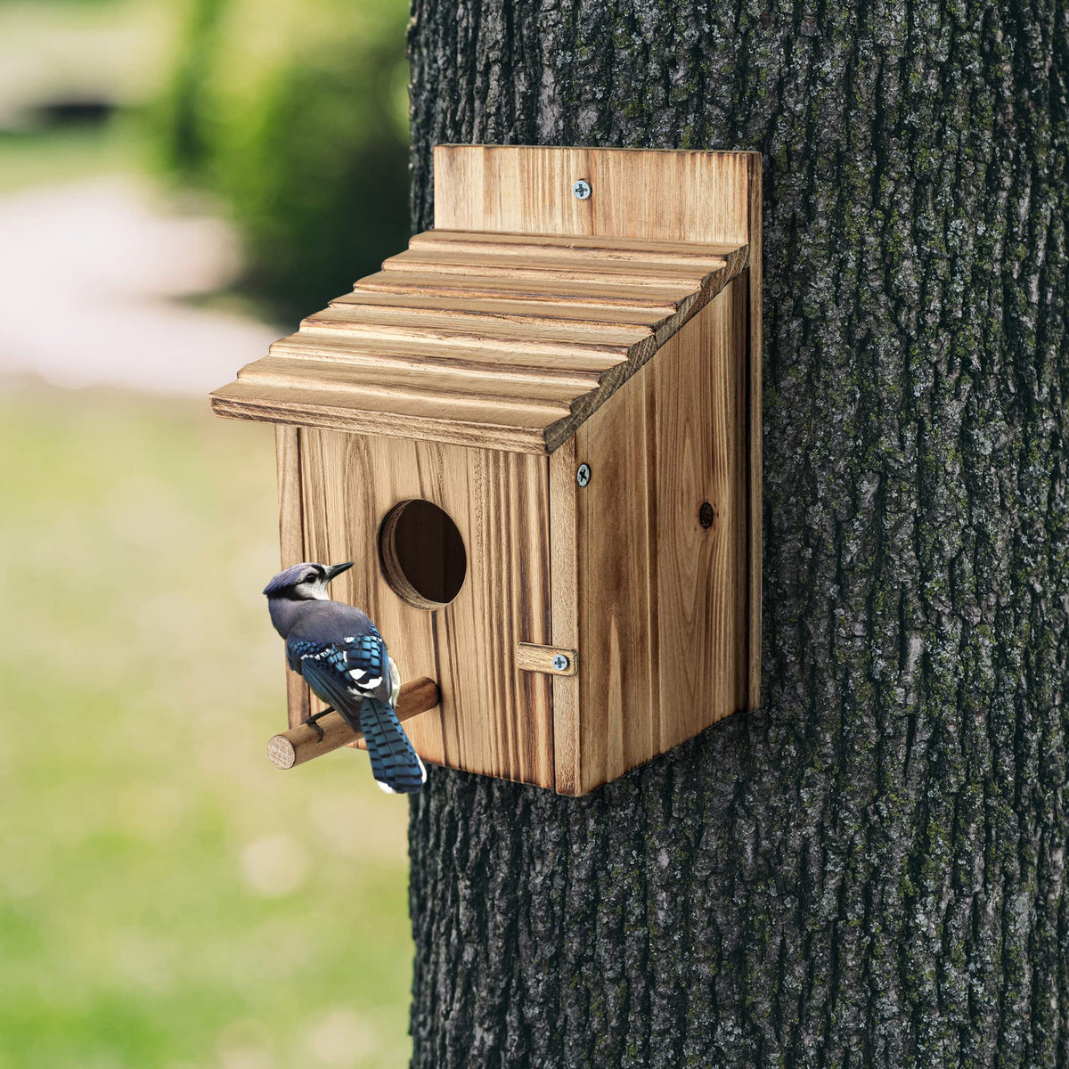 NATUREYLWL hanging birdhouse ideal for bluebirds and cardinals.
