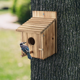 NATUREYLWL hanging birdhouse ideal for bluebirds and cardinals.