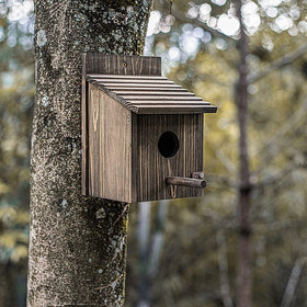 Natureylwl Weatherproof Bird House side view highlights compact design for small birds