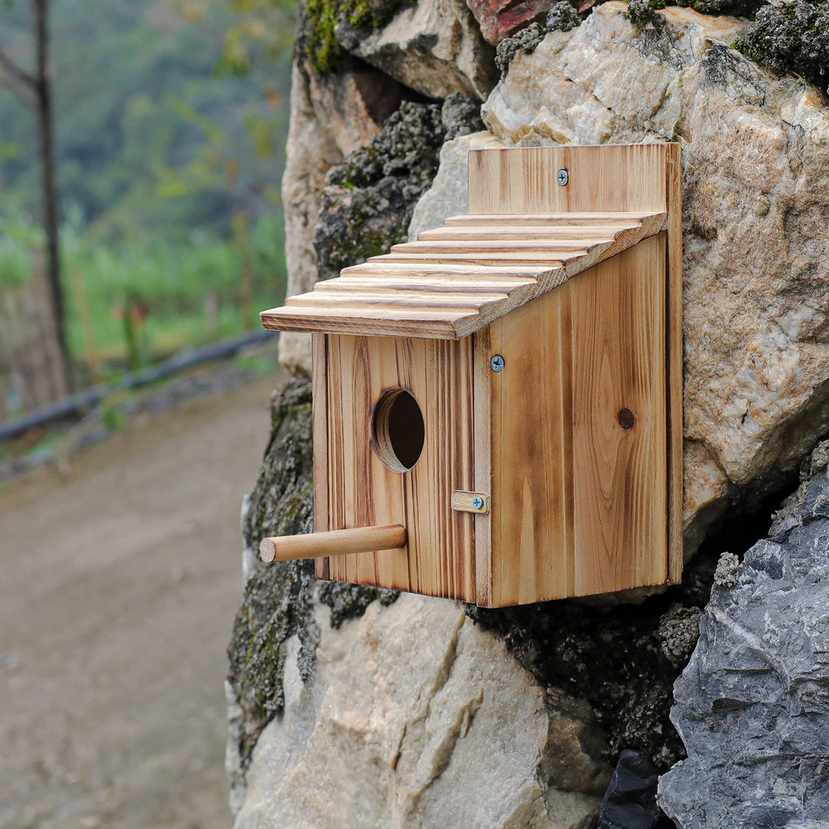 NATUREYLWL wood bird house entrance 1.57 inch for small species.