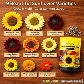 NatureZ Edge Autumn Beauty seeds in hand, ideal for colorful late-season blooms