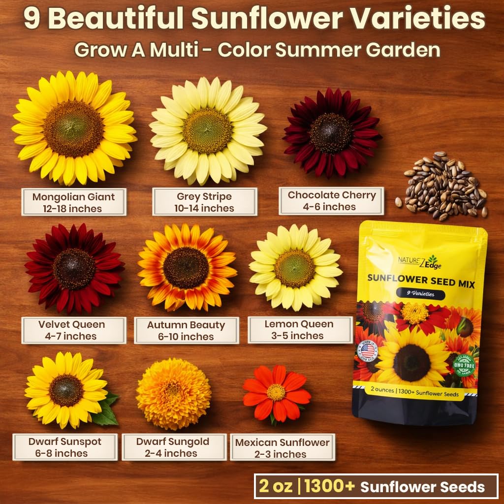 NatureZ Edge Autumn Beauty seeds ready for early-season planting in sunny beds.