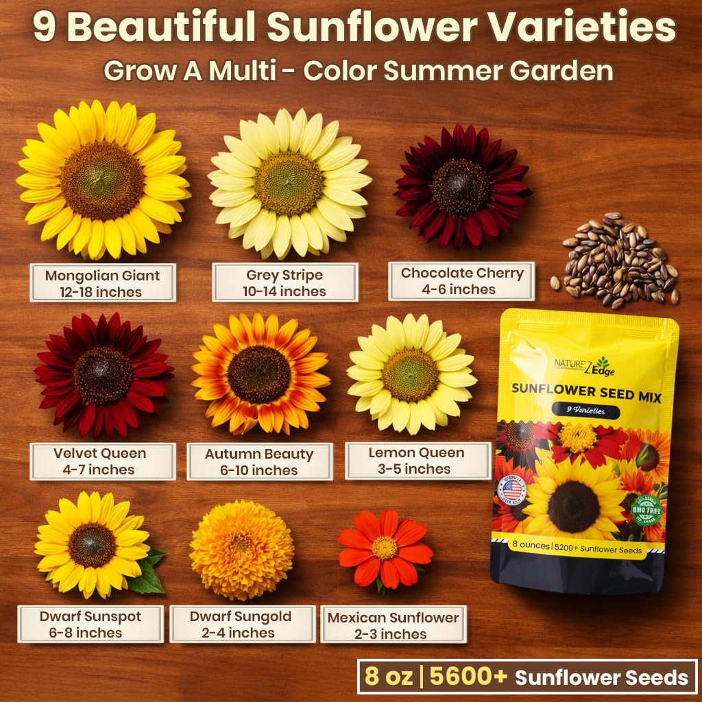 NatureZ Edge Autumn Beauty sunflower seeds add vibrant color to late-season gardens.