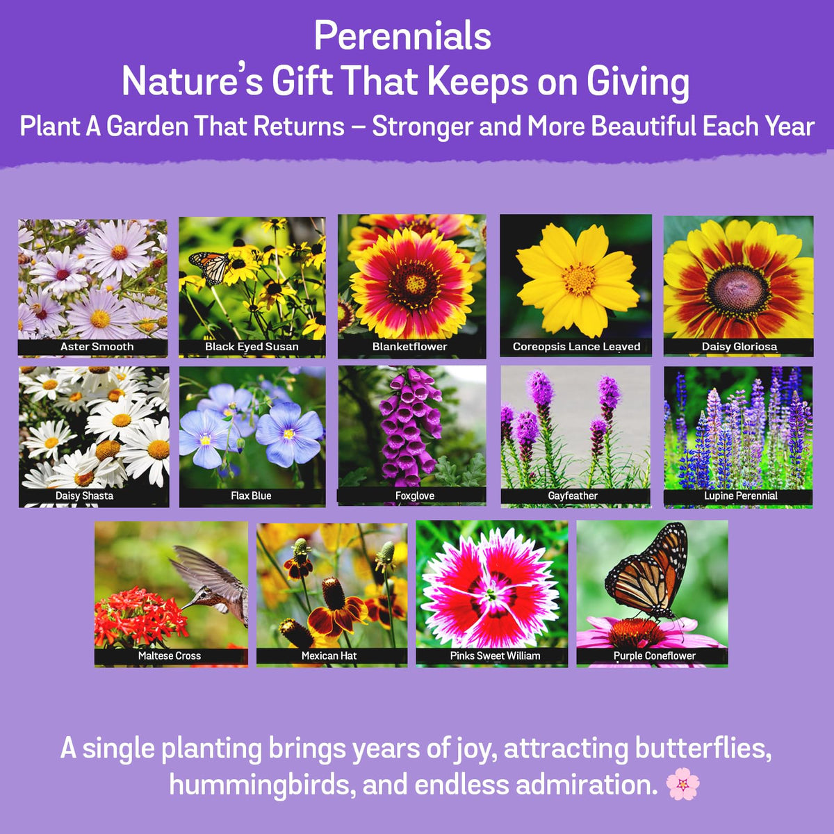 NatureZ Edge bulk wildflower seed packet for easy large-plot planting.