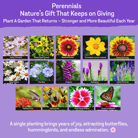 NatureZ Edge bulk wildflower seed packet for easy large-plot planting.
