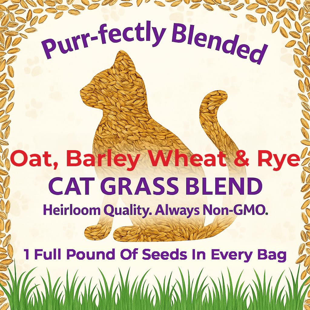 NatureZ Edge cat grass seeds multi-variety lawn with lush blades