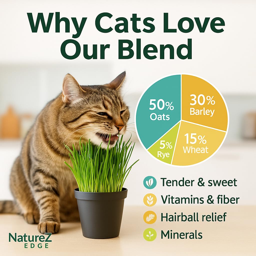 NatureZ Edge cat grass seeds sprouts in container forming a green lawn