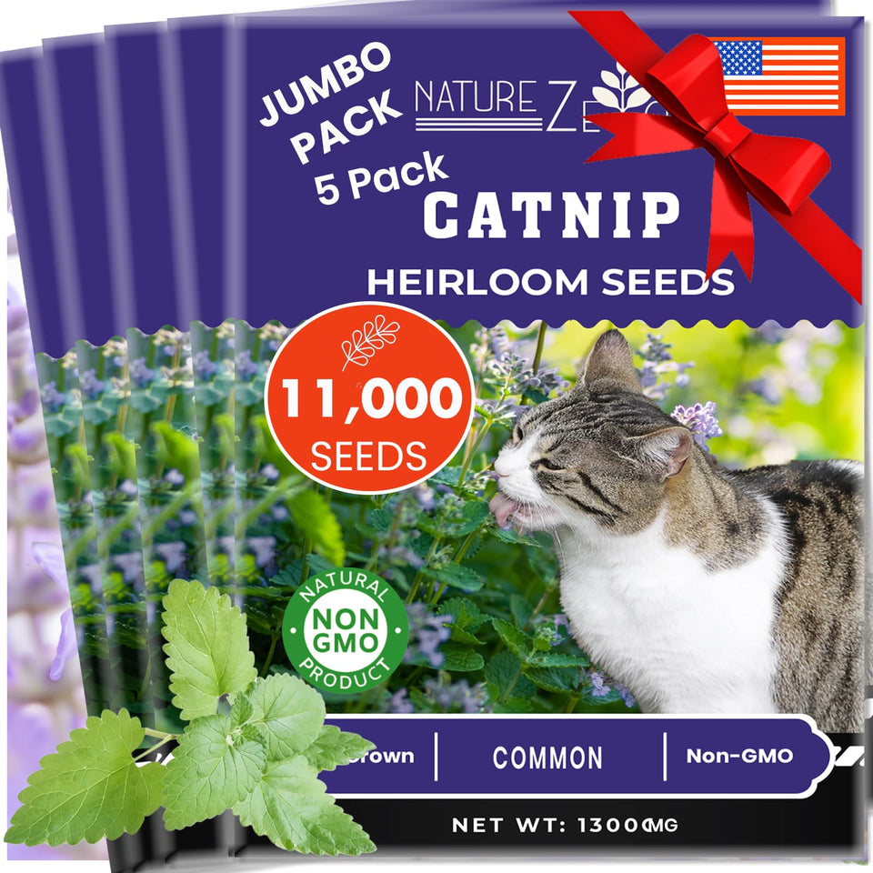 NatureZ Edge catnip seeds package closeup shows premium seeds for a vibrant catnip garden