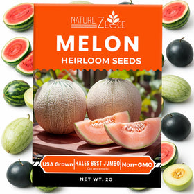 NatureZ Edge Charleston Grey seeds ideal for warm, sunny beds.