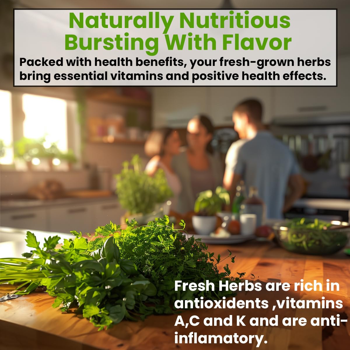 NatureZ Edge cilantro-seeds for fresh salsa and meals